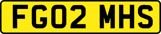 FG02MHS