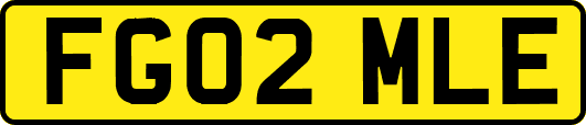 FG02MLE