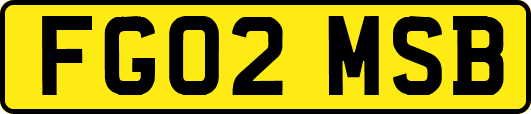 FG02MSB