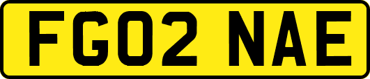 FG02NAE