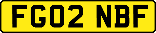 FG02NBF