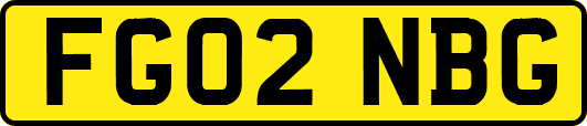 FG02NBG