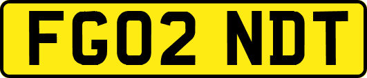 FG02NDT