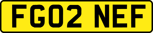 FG02NEF