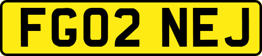 FG02NEJ