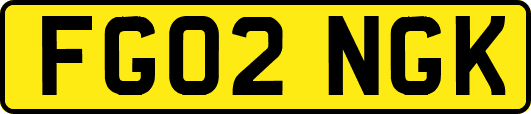FG02NGK