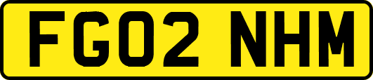 FG02NHM