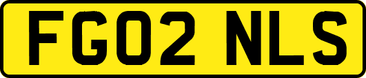 FG02NLS