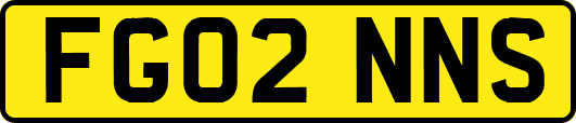 FG02NNS