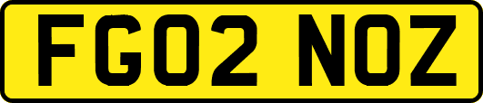 FG02NOZ