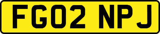 FG02NPJ
