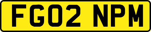 FG02NPM