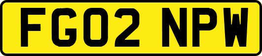 FG02NPW