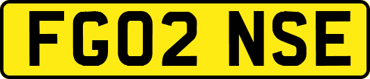 FG02NSE