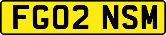 FG02NSM