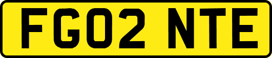 FG02NTE