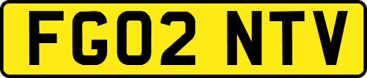 FG02NTV