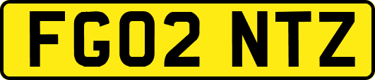 FG02NTZ