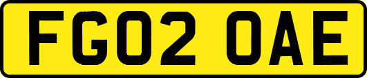 FG02OAE