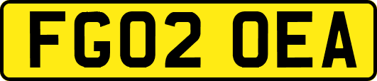 FG02OEA