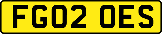 FG02OES