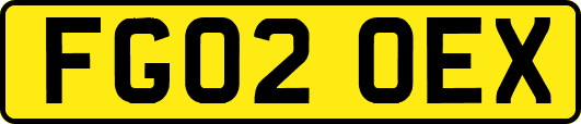 FG02OEX