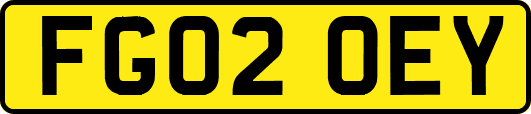 FG02OEY