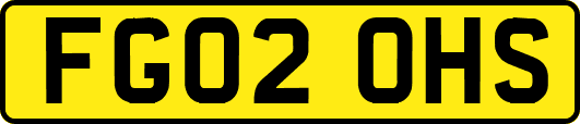 FG02OHS
