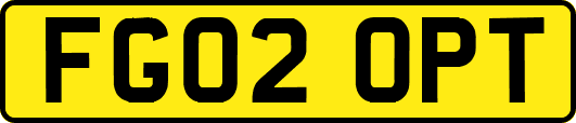 FG02OPT