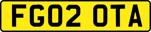 FG02OTA