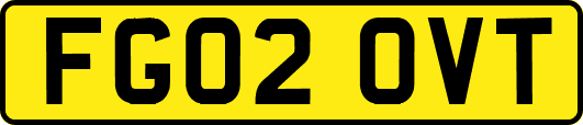 FG02OVT