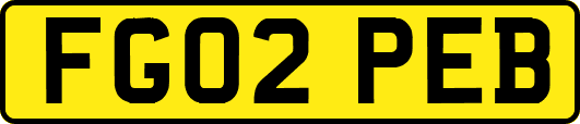 FG02PEB