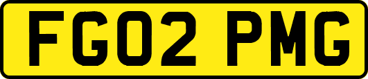 FG02PMG