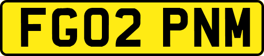 FG02PNM