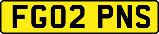 FG02PNS