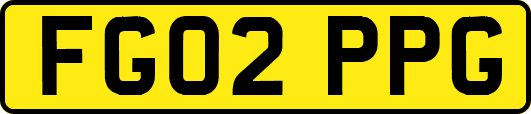 FG02PPG