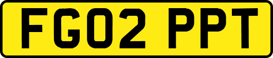FG02PPT