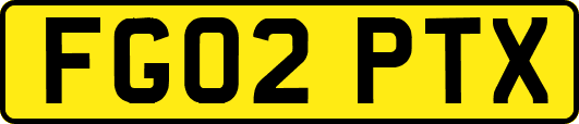 FG02PTX