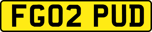 FG02PUD