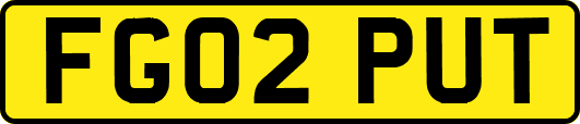 FG02PUT
