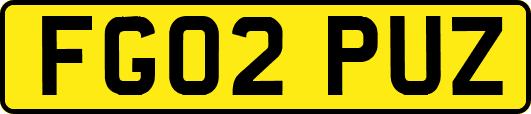 FG02PUZ