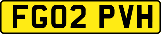 FG02PVH