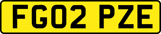 FG02PZE