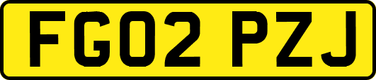 FG02PZJ