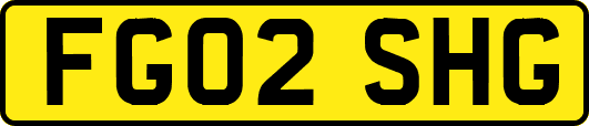 FG02SHG