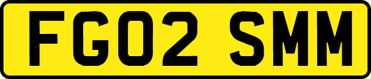 FG02SMM