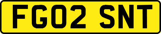 FG02SNT