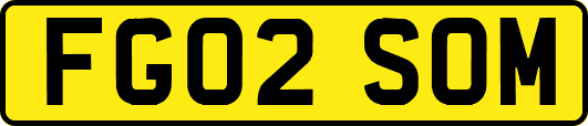 FG02SOM