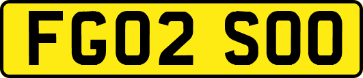 FG02SOO
