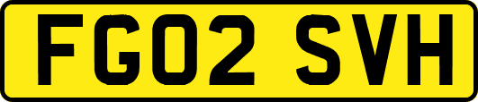 FG02SVH
